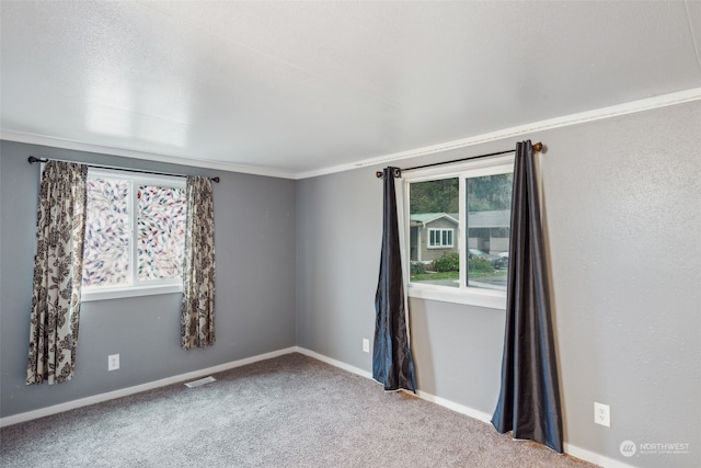 unfurnished room with crown molding and carpet flooring