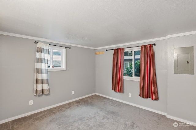 carpeted empty room with ornamental molding, electric panel, and a textured ceiling