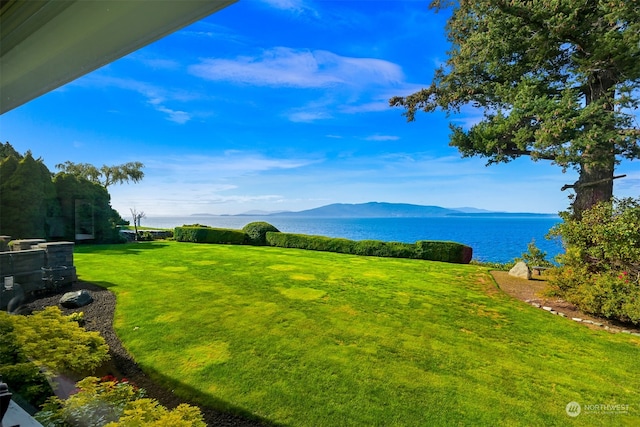 view of yard with a water and mountain view