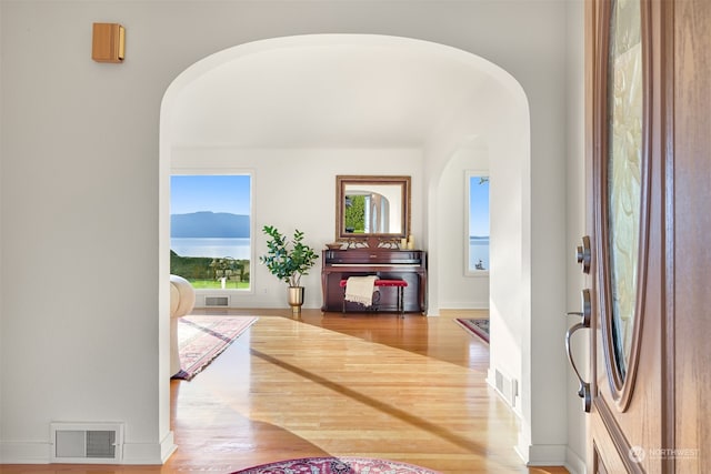 foyer entrance with wood-type flooring