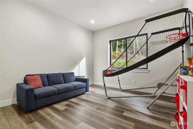 living room with hardwood / wood-style floors