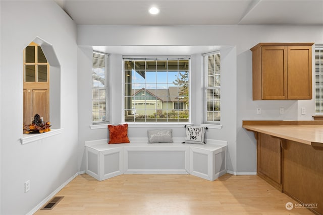 mudroom with light hardwood / wood-style floors