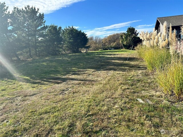 491 Ocean Shores Blvd NW, Ocean Shores, WA 98569 - photo 9