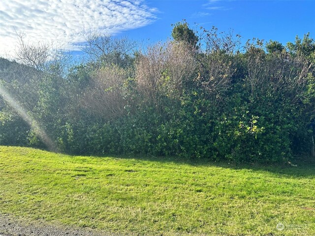 491 Ocean Shores Blvd NW, Ocean Shores, WA 98569 - photo 21