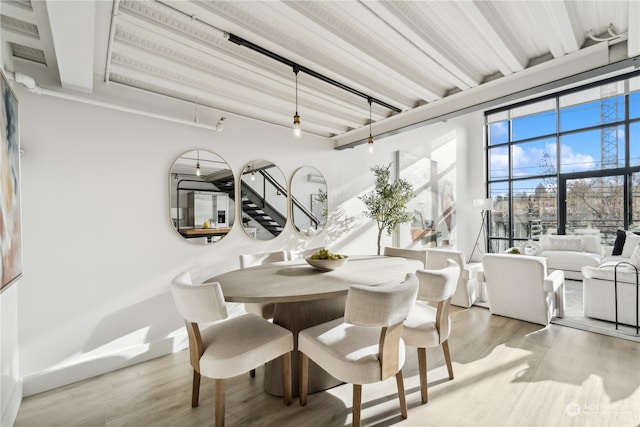 dining room with light hardwood / wood-style flooring