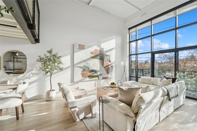 living room featuring a high ceiling and light hardwood / wood-style flooring