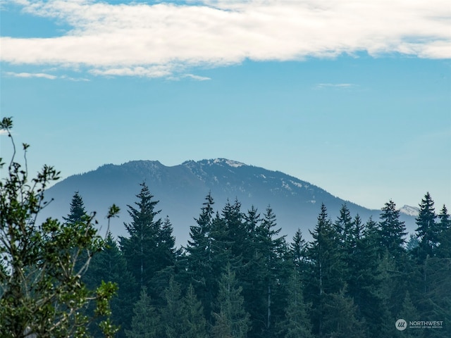 view of mountain feature