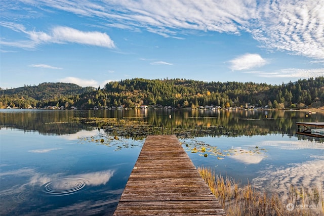 view of dock featuring a water view