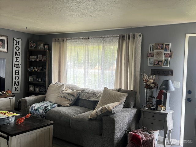 living room featuring a textured ceiling and hardwood / wood-style floors