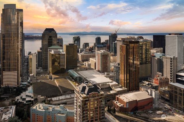 view of city featuring a water view