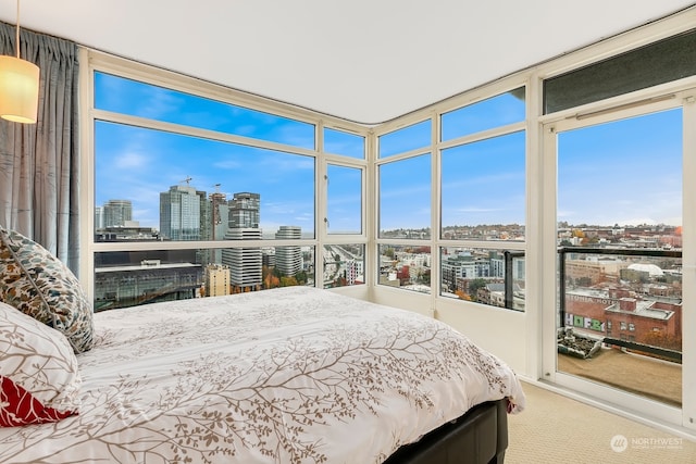 view of carpeted bedroom