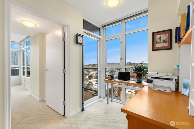 carpeted office with a wall of windows