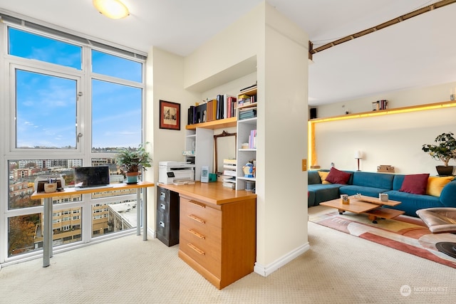 office space with light colored carpet