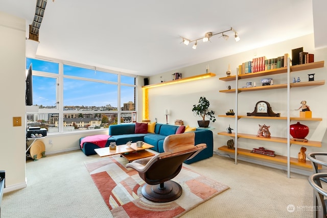 interior space with light colored carpet