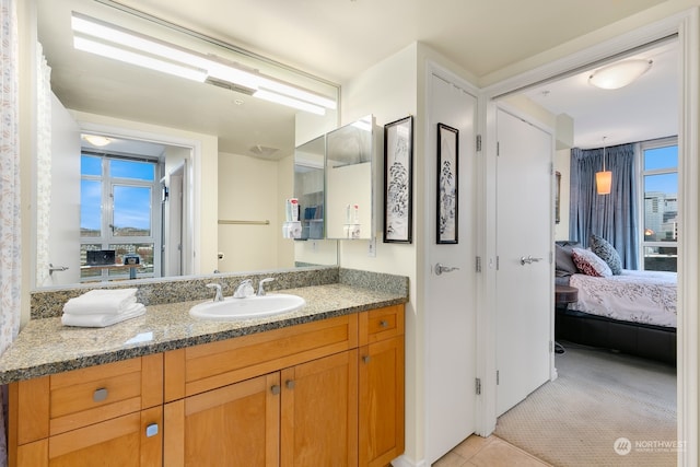 bathroom with a wealth of natural light and vanity