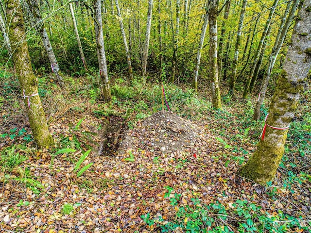 0 S 357th St, Federal Way, WA 98003