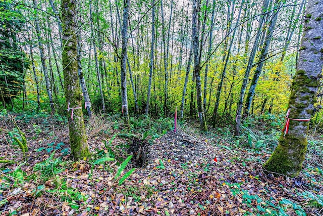 0 S 357th St, Federal Way, WA 98003