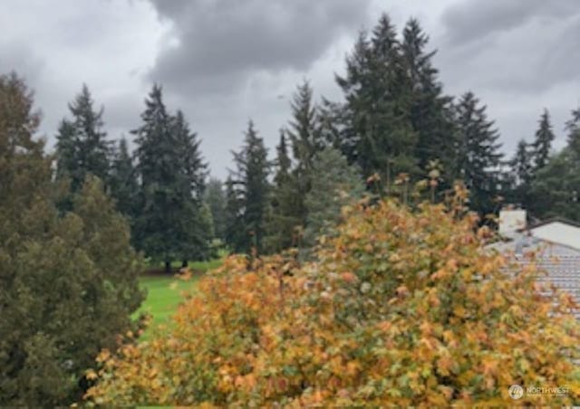 1810 S 118th Unit 401, Seattle, WA 98168 - view of nature