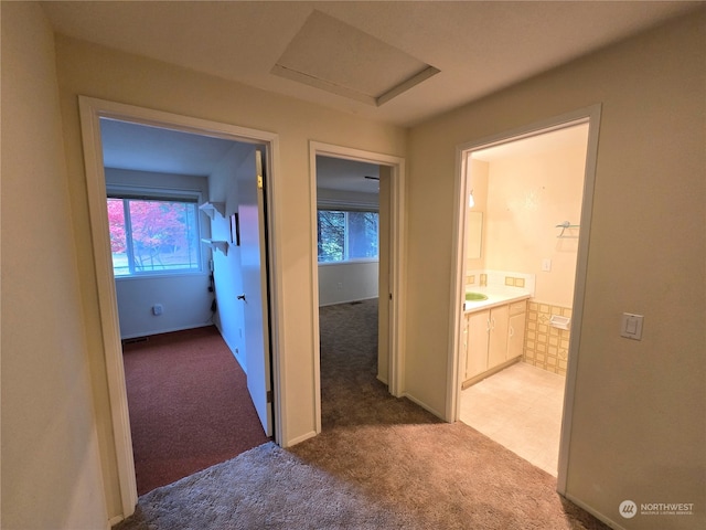 hallway with light colored carpet