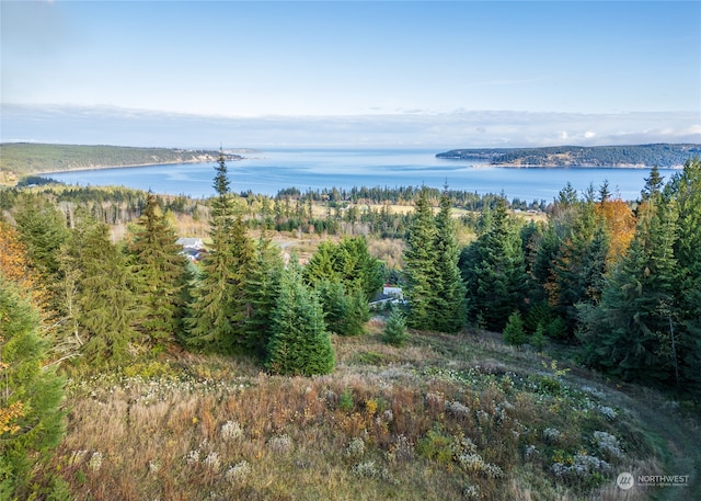 313 View Ridge Dr, Sequim WA, 98382 land for sale