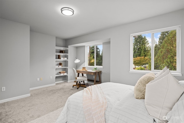 bedroom with carpet flooring