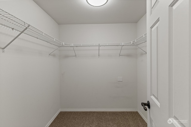 walk in closet with dark colored carpet