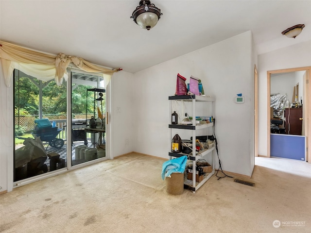 miscellaneous room with carpet flooring