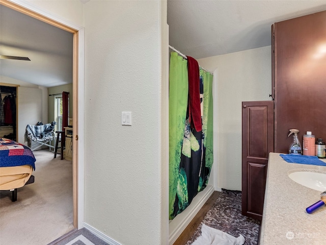bathroom featuring vanity and curtained shower