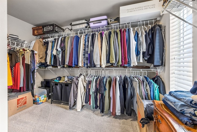 walk in closet with carpet