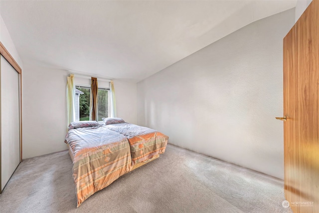 carpeted bedroom featuring a closet