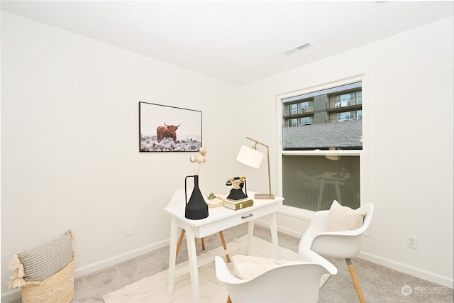 carpeted home office featuring a textured ceiling