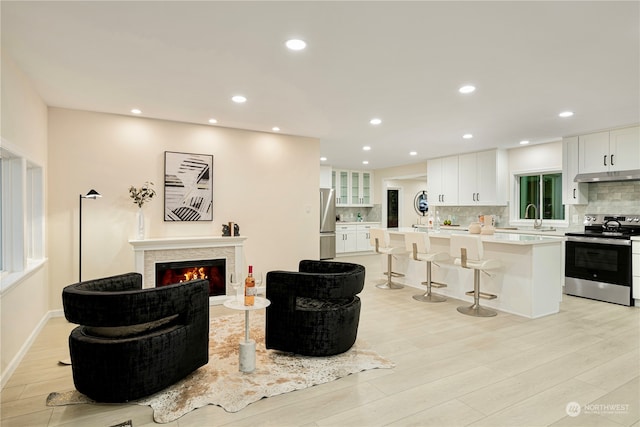 living room featuring light hardwood / wood-style floors and sink