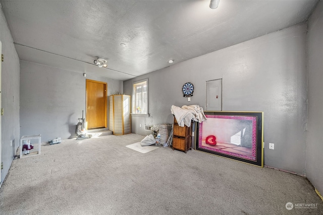 interior space featuring carpet and a textured ceiling