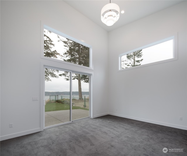 carpeted empty room with a wealth of natural light and a high ceiling