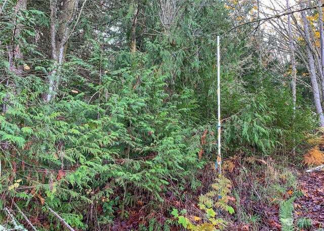 495 Louella Rd, Sequim, WA 98382