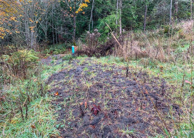 495 Louella Rd, Sequim, WA 98382