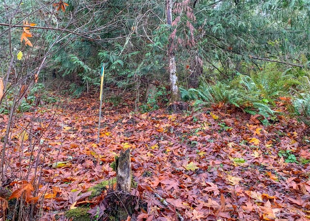 495 Louella Rd, Sequim, WA 98382