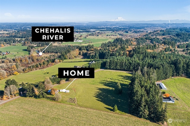 aerial view with a mountain view and a rural view