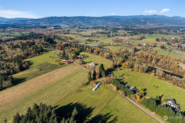 aerial view with a mountain view and a rural view