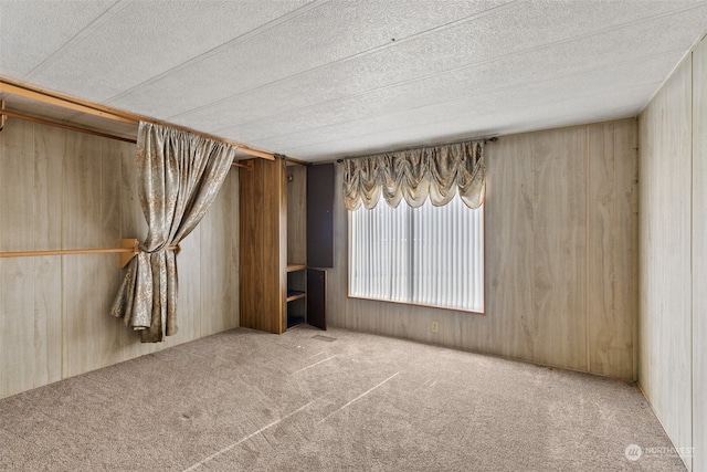 empty room with wooden walls and light carpet