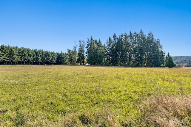 view of yard featuring a rural view