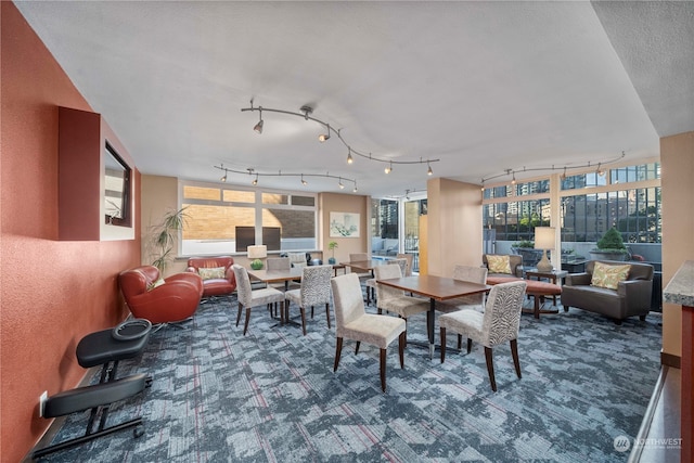 dining room with rail lighting and a wealth of natural light