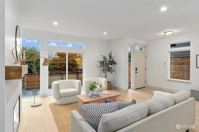 living room with light hardwood / wood-style floors