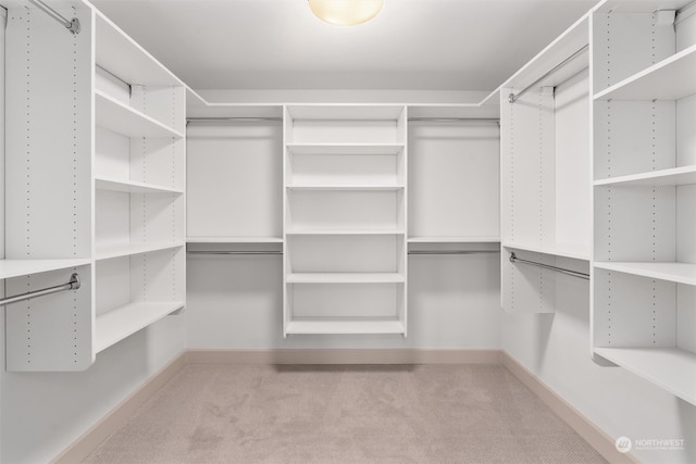 spacious closet featuring light colored carpet