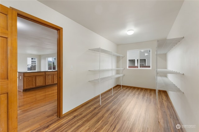 spacious closet with wood-type flooring