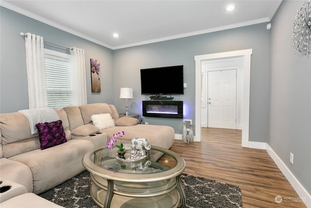 living room featuring crown molding and hardwood / wood-style flooring