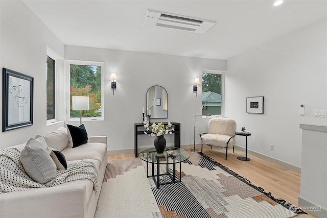 living room featuring wood-type flooring