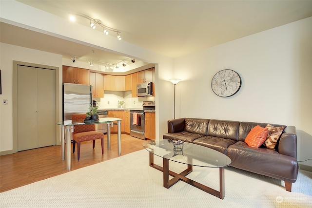 living room featuring light hardwood / wood-style floors and rail lighting