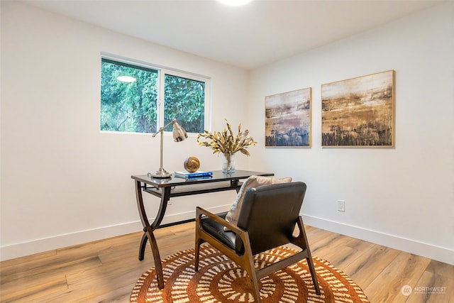 office featuring light hardwood / wood-style floors