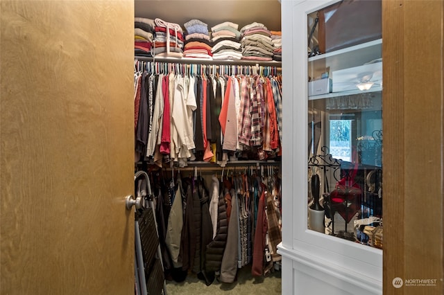 walk in closet featuring carpet floors and ceiling fan